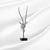 Antelope